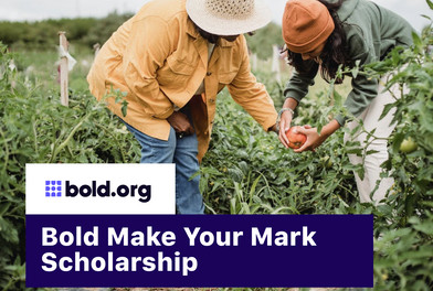 Scholarship cover image