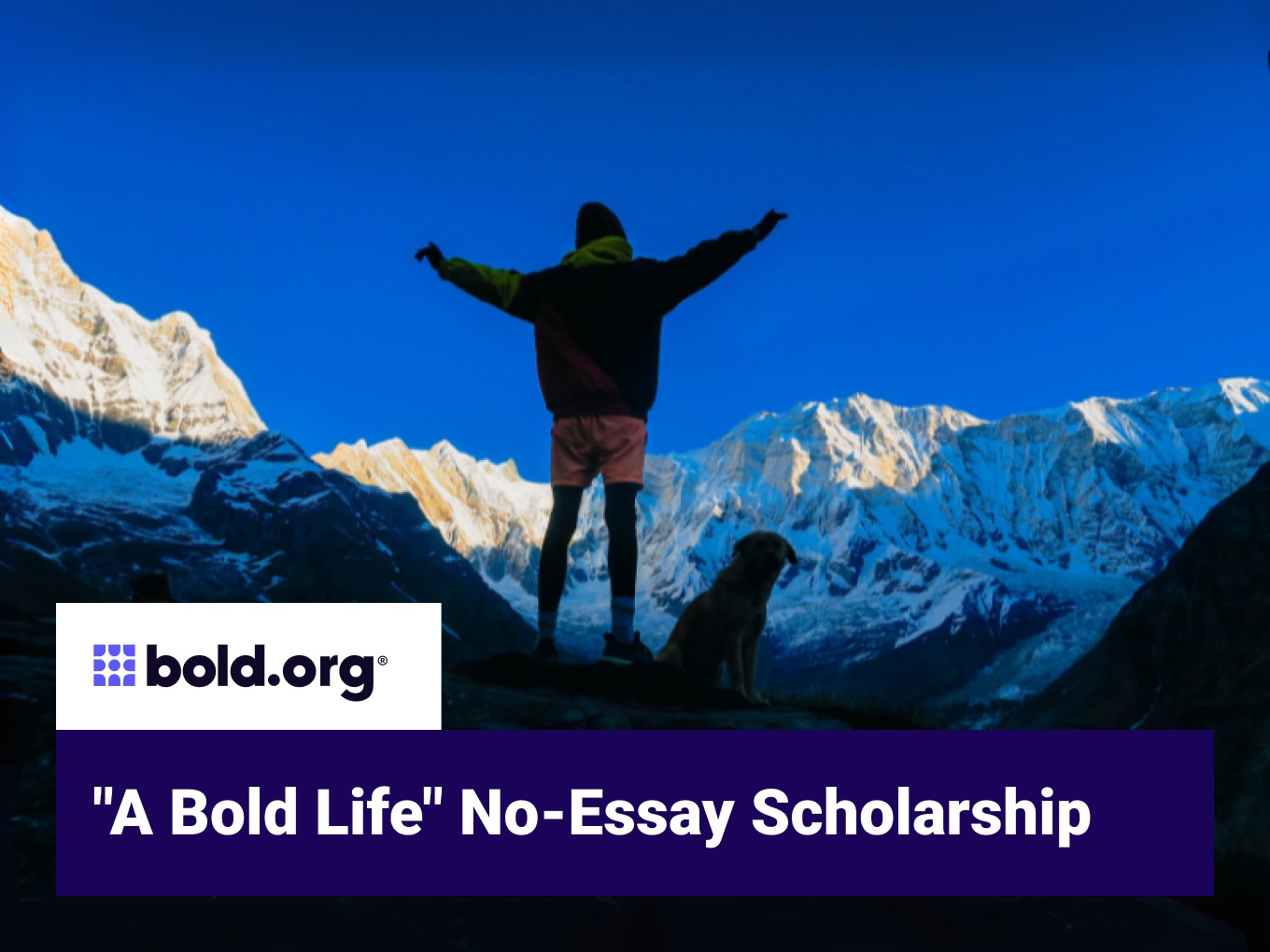 Scholarship cover image
