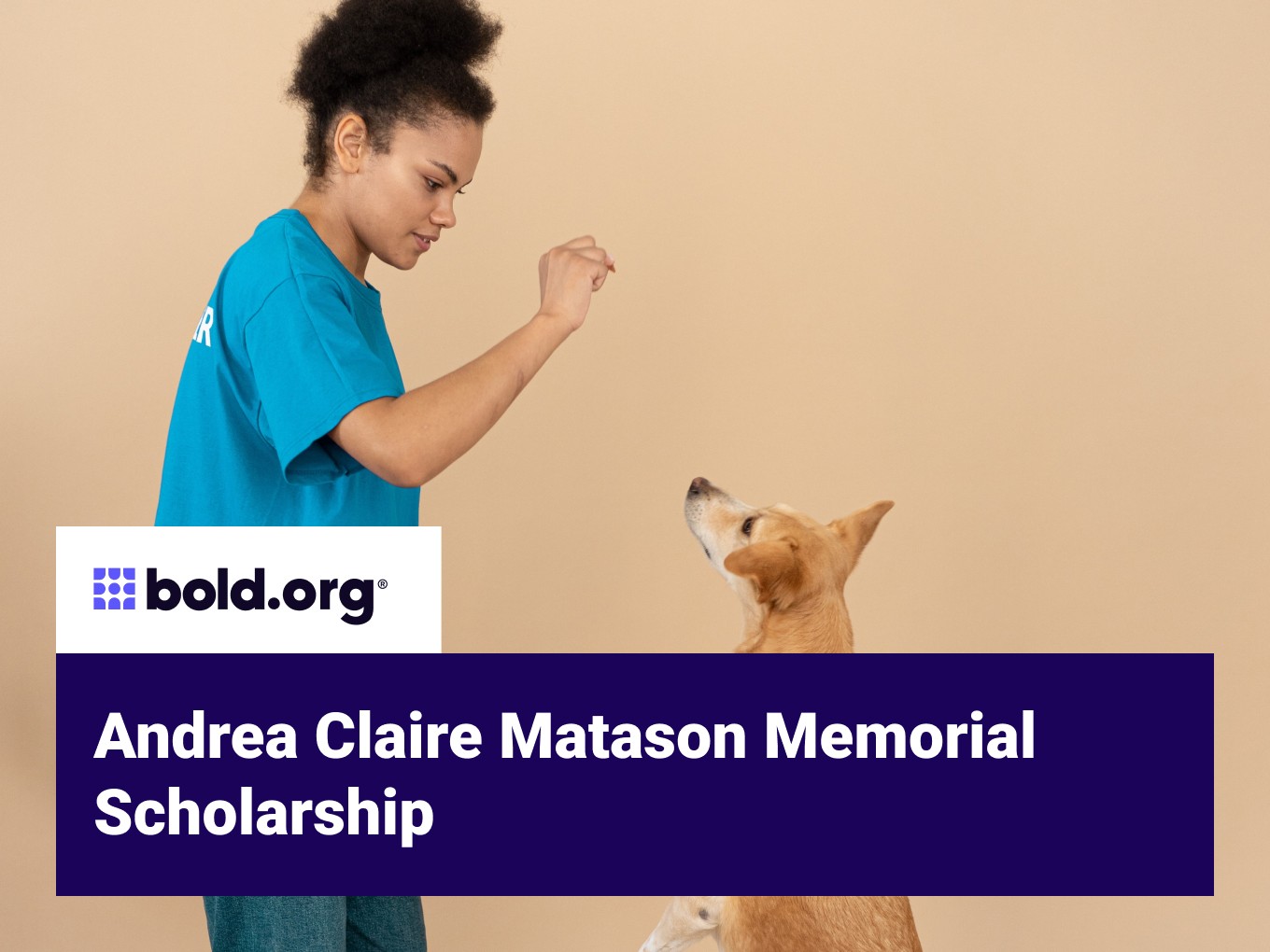Scholarship cover image