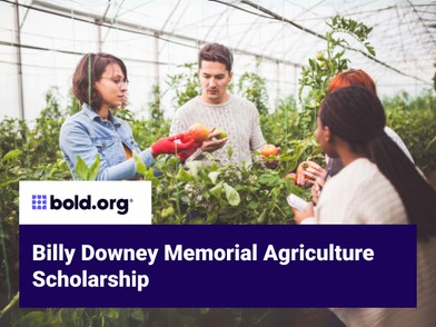 Scholarship cover image