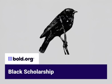 Scholarship cover image