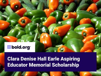 Scholarship cover image
