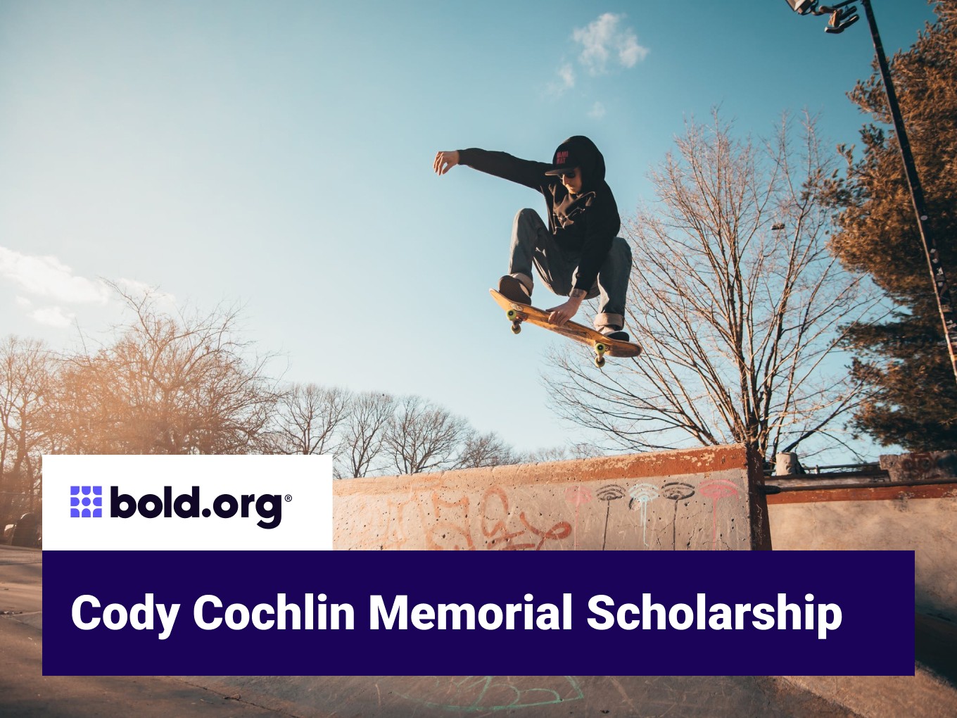 Scholarship cover image