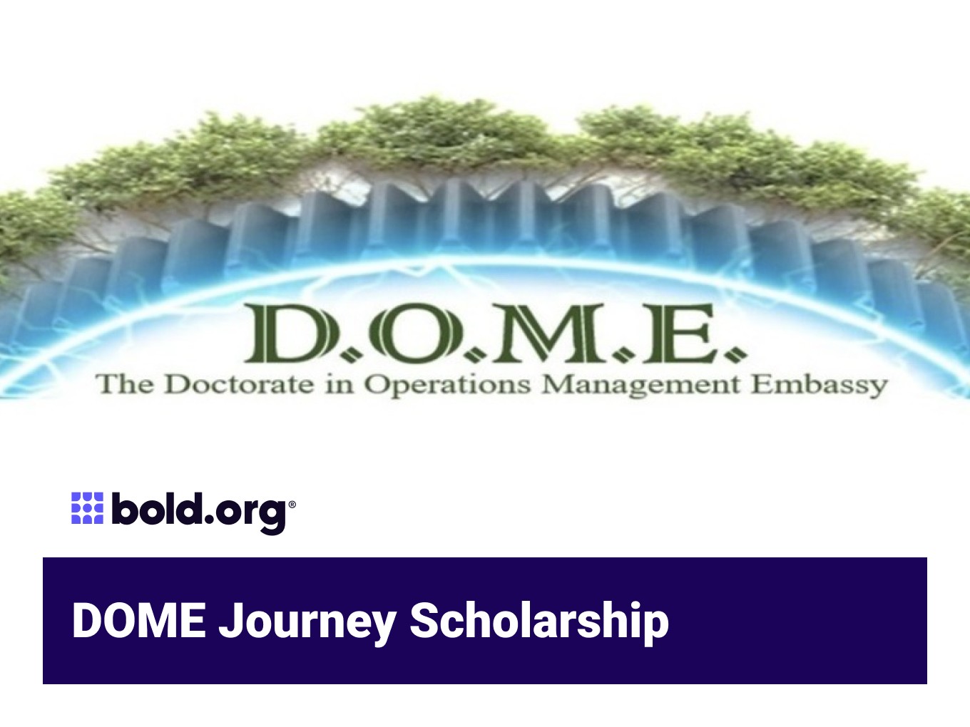 Scholarship cover image