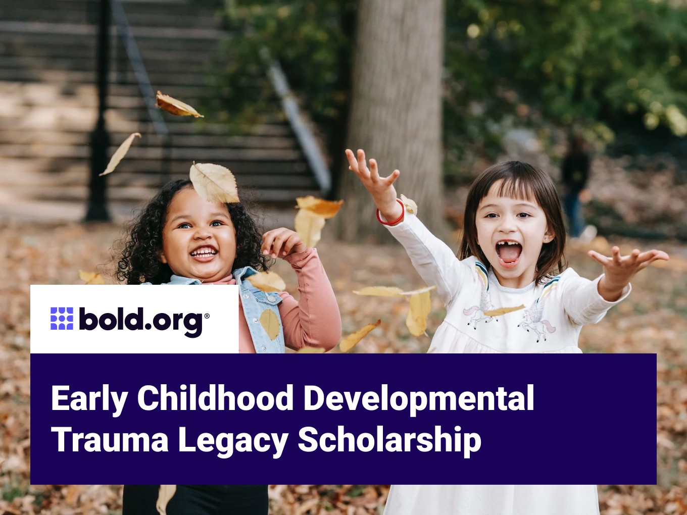 Scholarship cover image