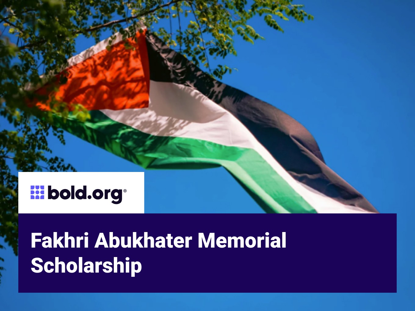Scholarship cover image