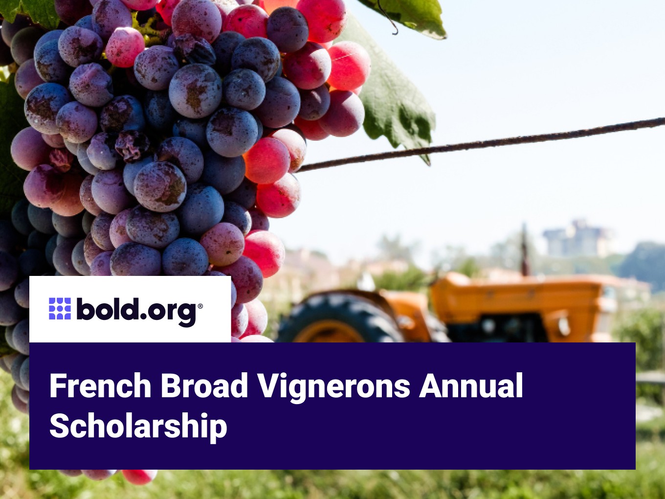 Scholarship cover image