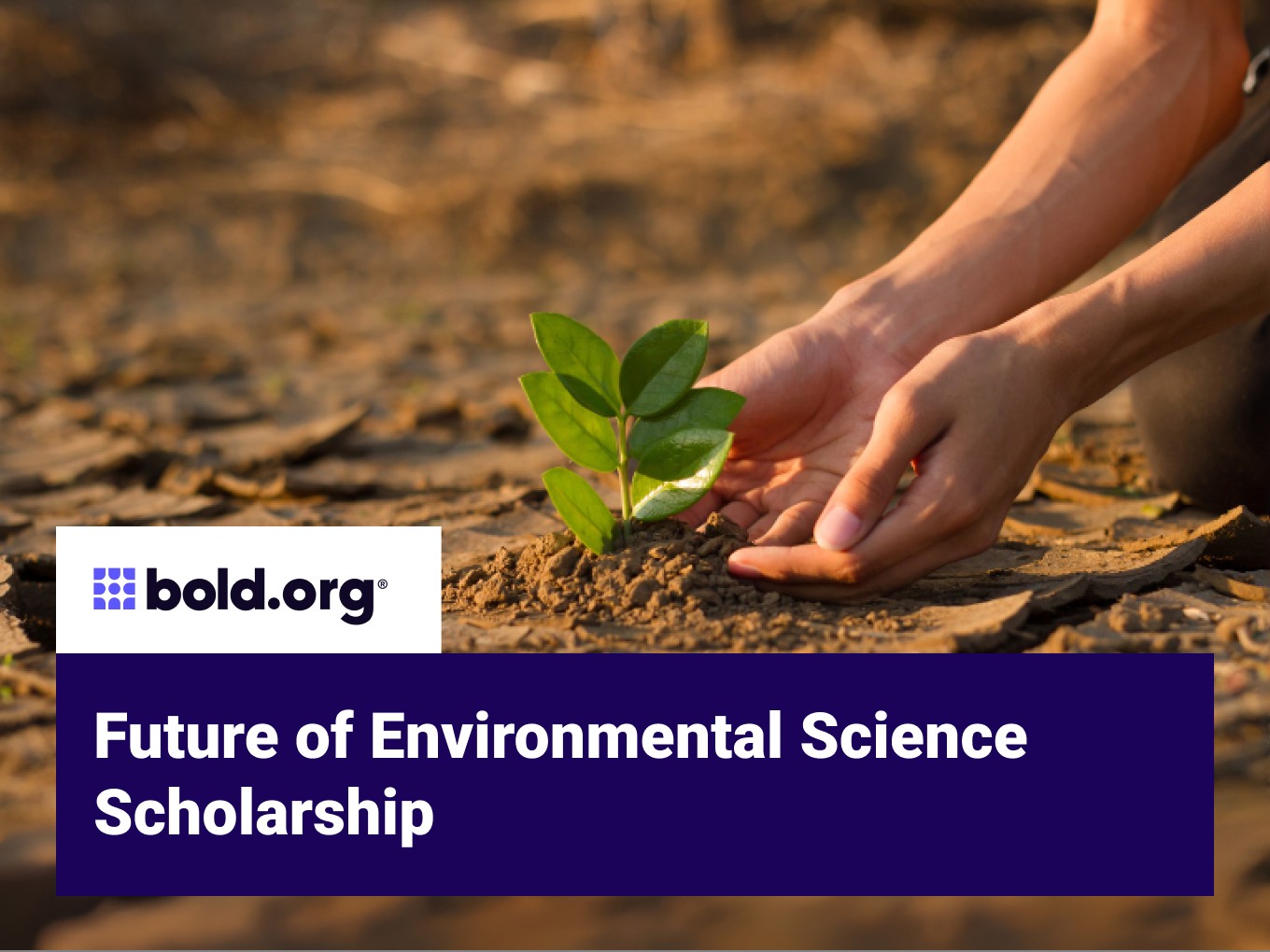 Scholarship cover image