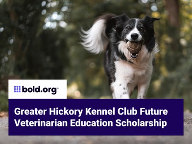 Scholarship cover image