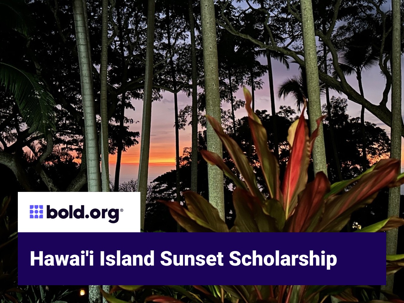 Scholarship cover image