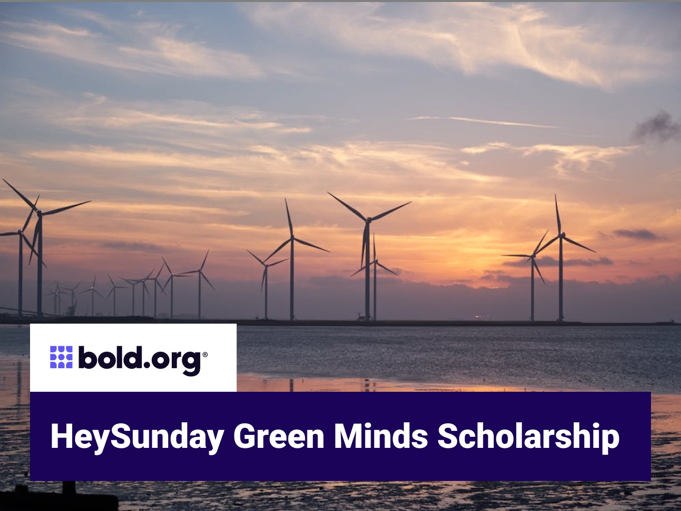 Scholarship cover image