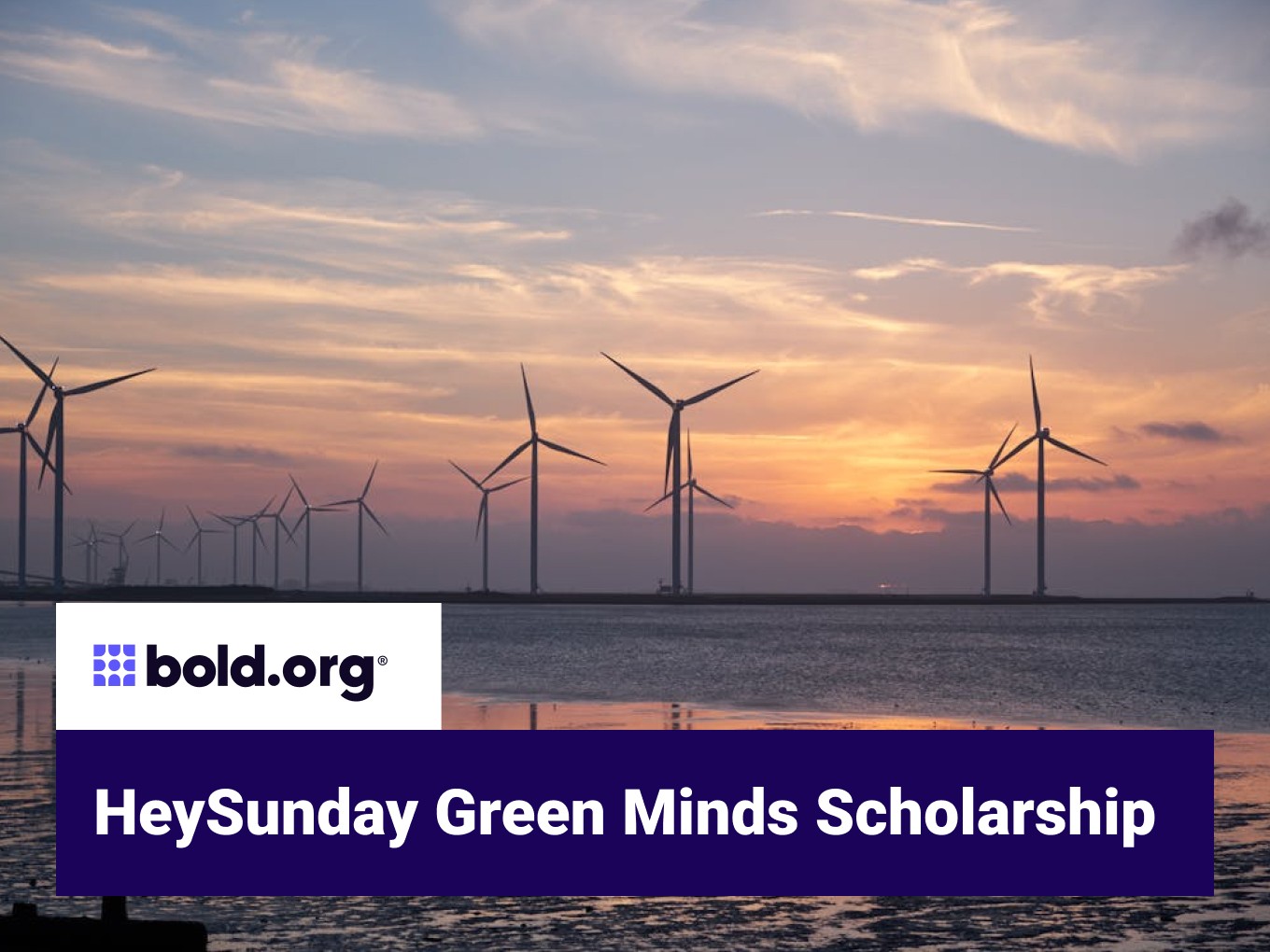 Scholarship cover image