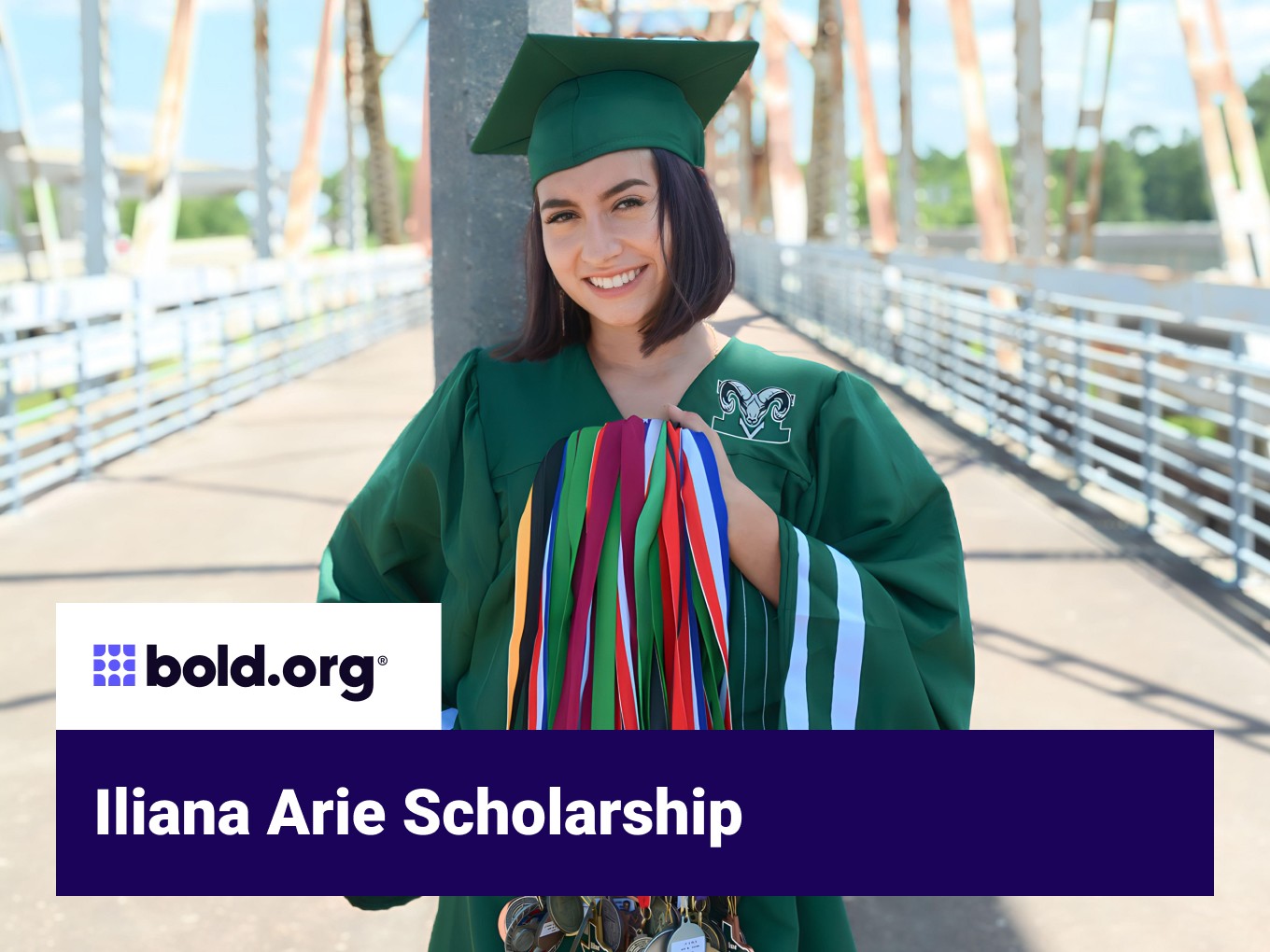 Scholarship cover image