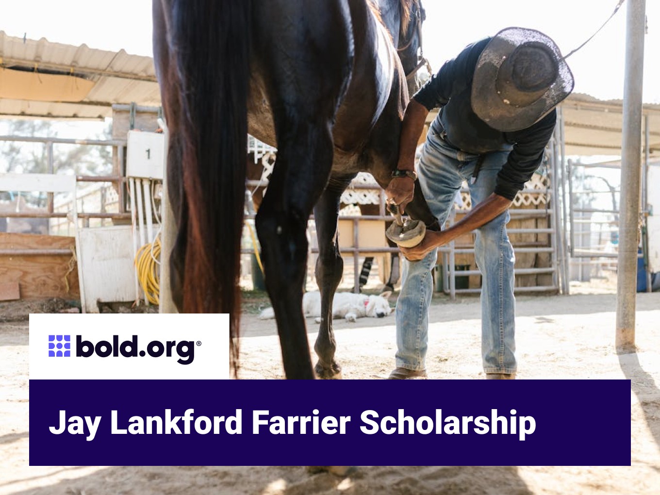 Scholarship cover image