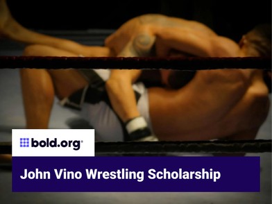 Scholarship cover image