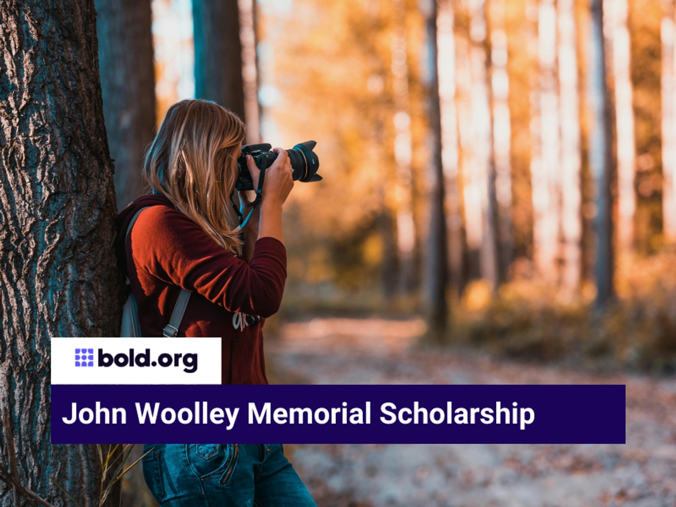 Scholarship cover image