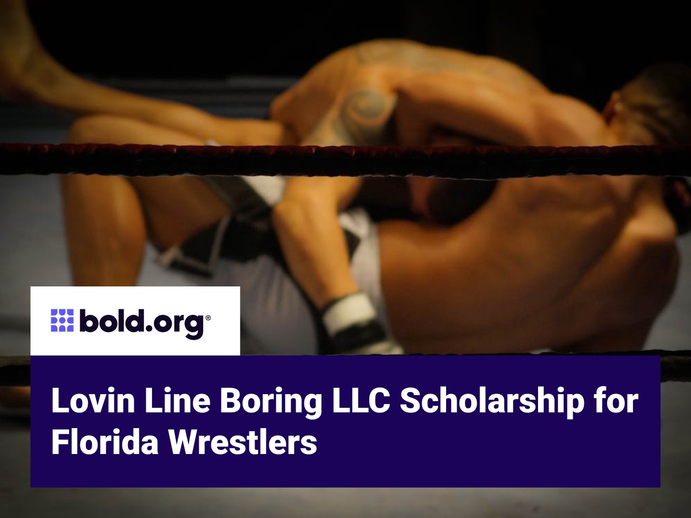 Scholarship cover image