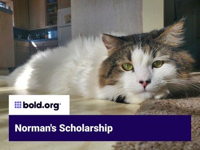 Scholarship cover image