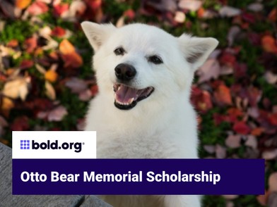 Scholarship cover image