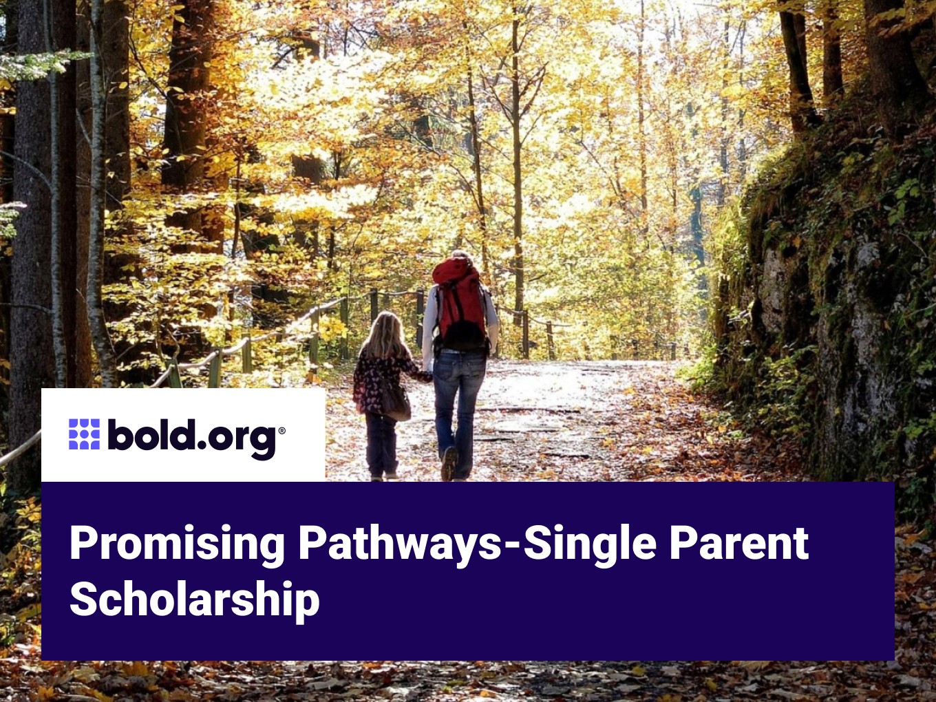 Scholarship cover image