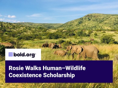 Scholarship cover image