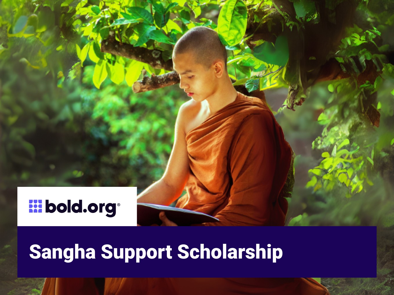 Scholarship cover image