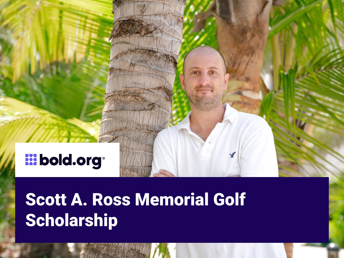 Scholarship cover image