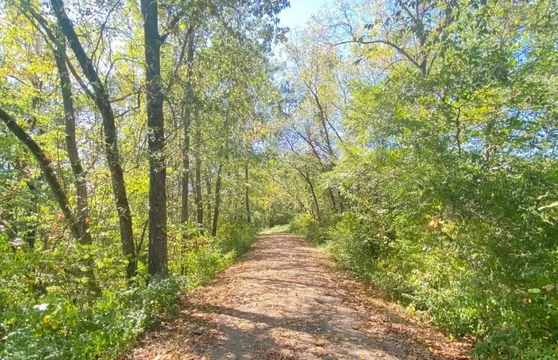 New Jersey Scholarships Image 7