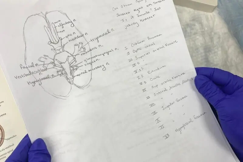 Public Health Scholarships Image 3