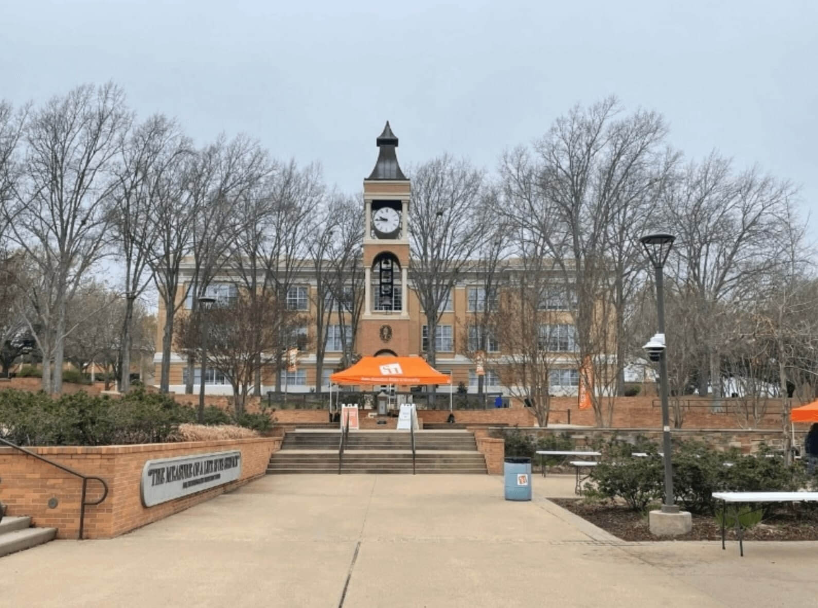 No-Essay Scholarships Image 6