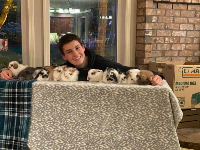 Veterinarian Scholarships Image 2