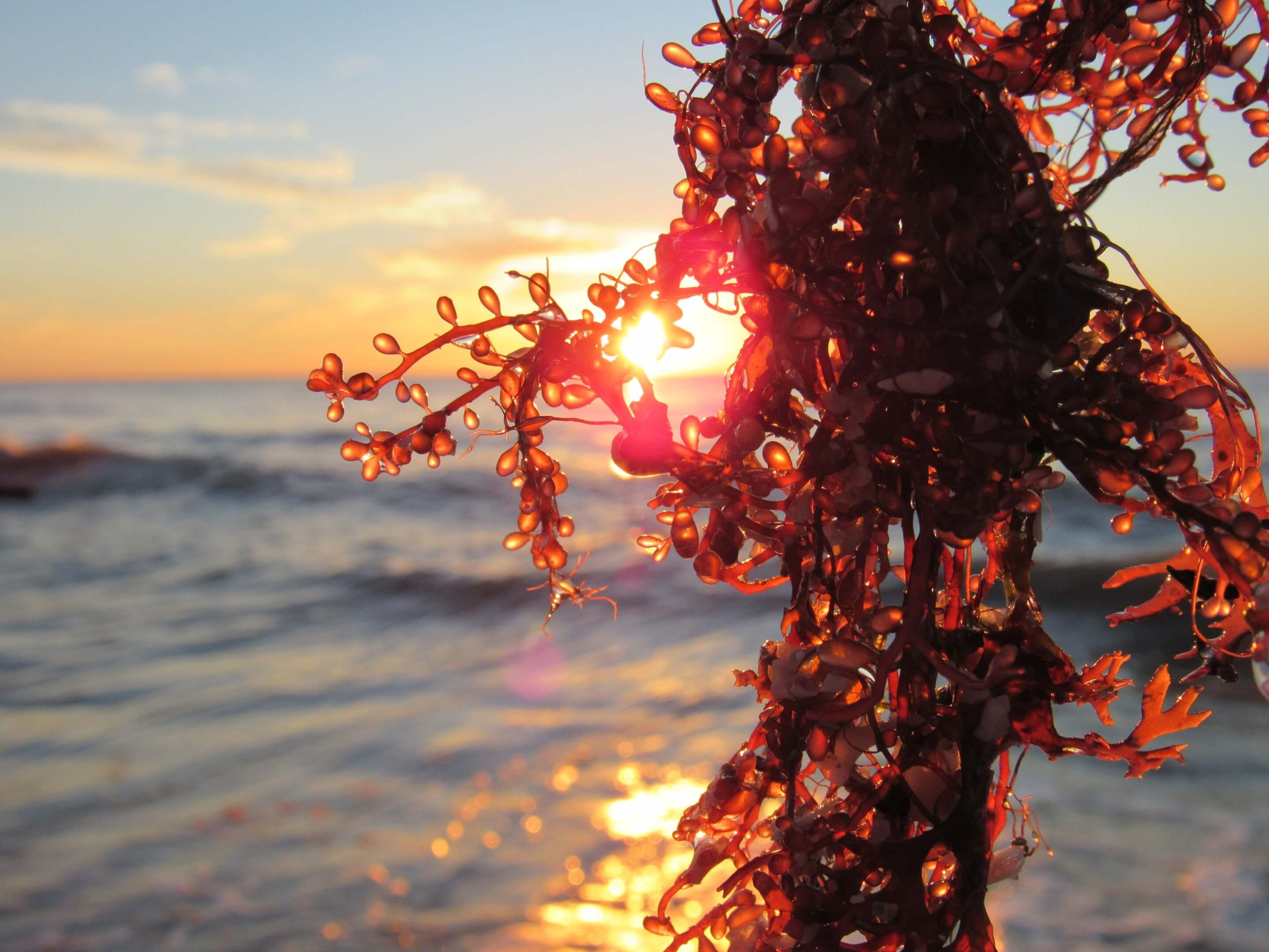 Navajo Scholarships Image 3