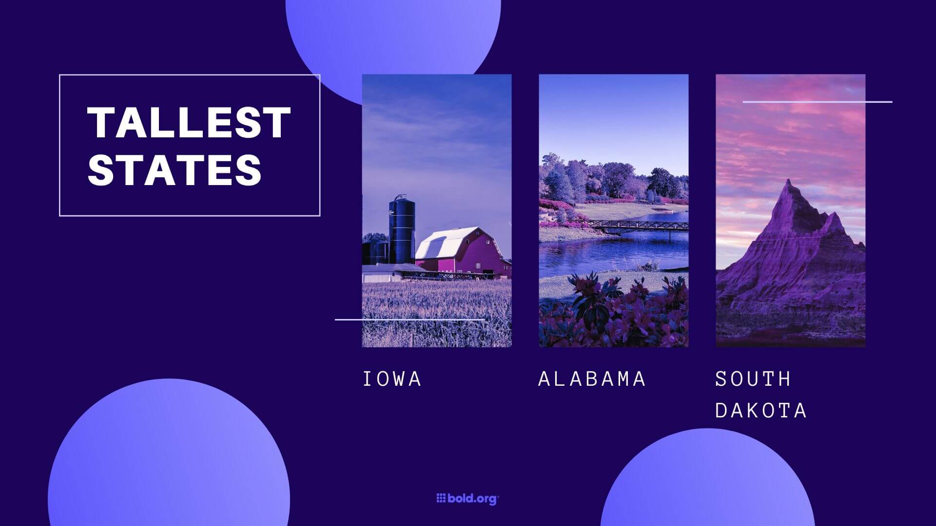 Tall People Scholarships Image 3