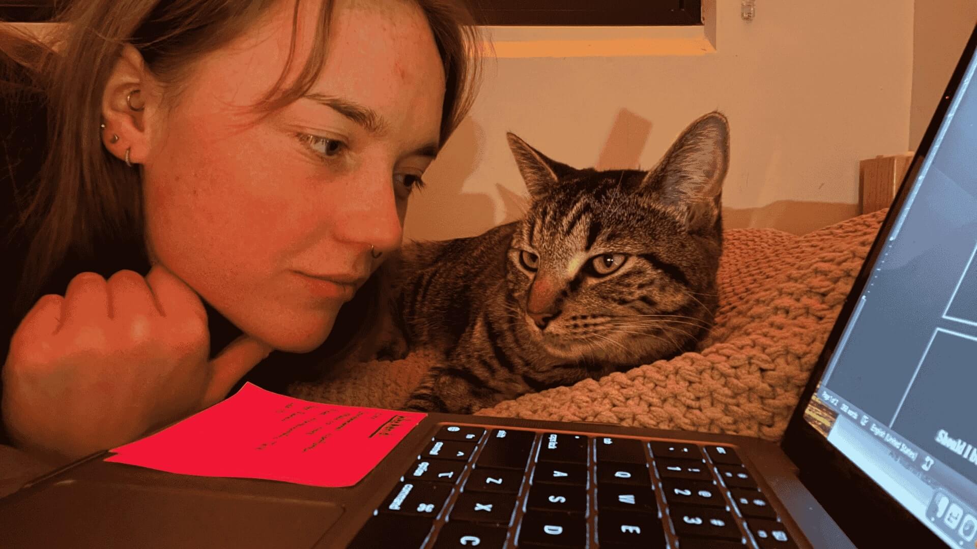 Scholarships for Online Students Image 3