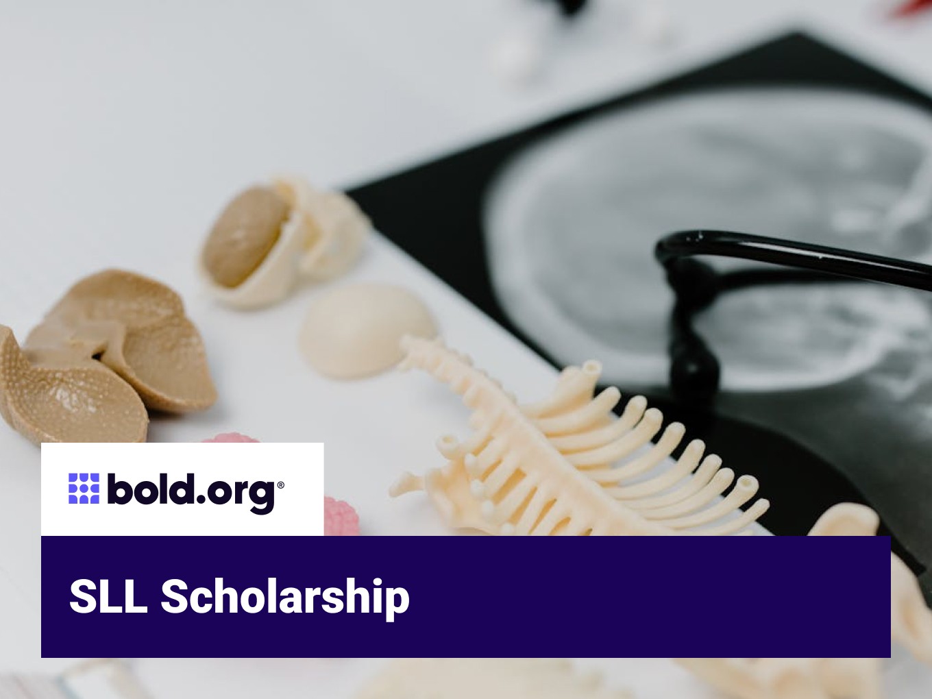 Scholarship cover image