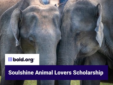 Scholarship cover image