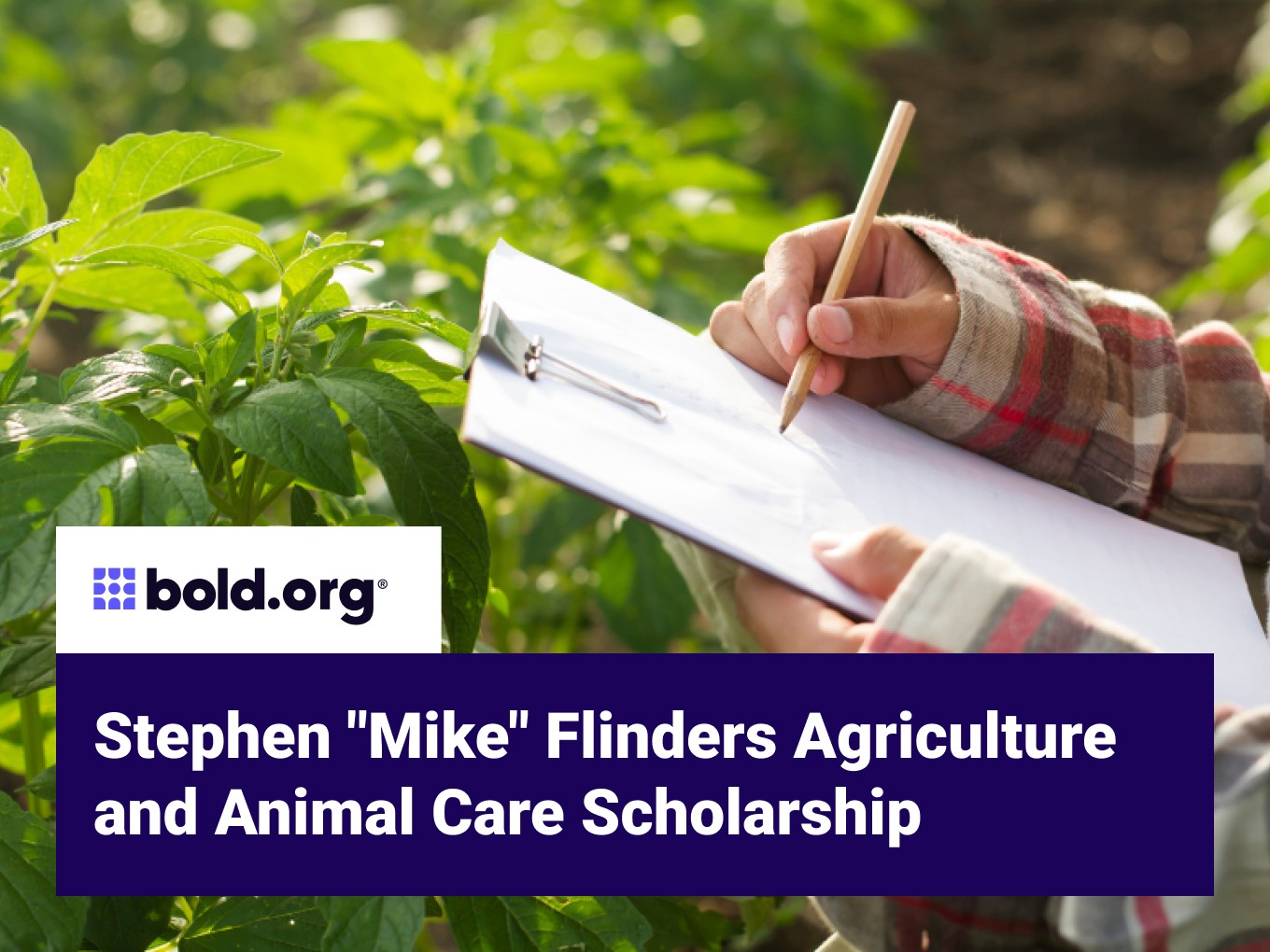 Scholarship cover image