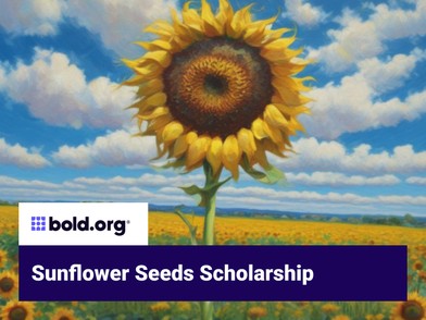 Scholarship cover image