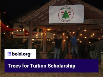 Scholarship cover image