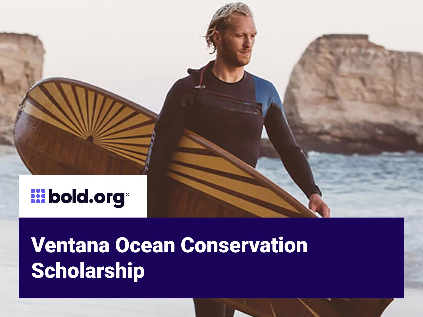 Scholarship cover image